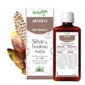 Artisève Bio - Articulation - Sève de Bouleau Fraîche - HERBALGEM