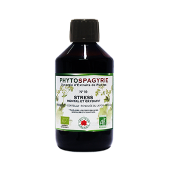 PHYTOSPAGYRIE - Stress Mental et Oxydatif N°19 - VECTEUR ENERGY