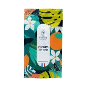 Fleurs de CBD Gelato CBG NATURE & CBD